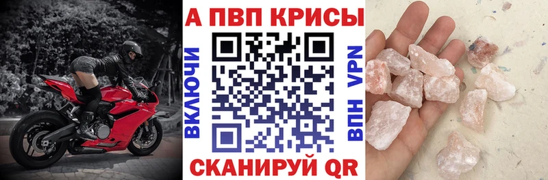 Альфа ПВП СК  Злынка 