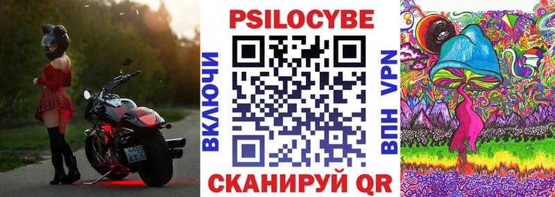 Псилоцибиновые грибы Cubensis  Злынка 